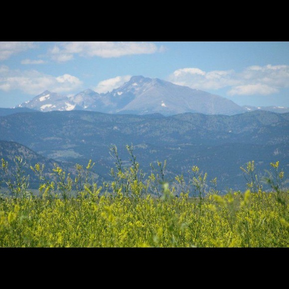 Check Out Vintage Items @ Stuff_n_Things  __ - Picture 7 of 7